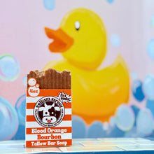 Load image into Gallery viewer, Sudsy Soap Sale!!