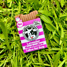 Load image into Gallery viewer, Sudsy Soap Sale!!