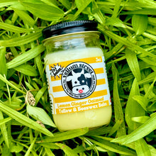 Load image into Gallery viewer, 3 oz Tallow & Beeswax Balms