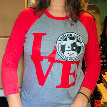 Load image into Gallery viewer, LOVE Raglan T-shirt